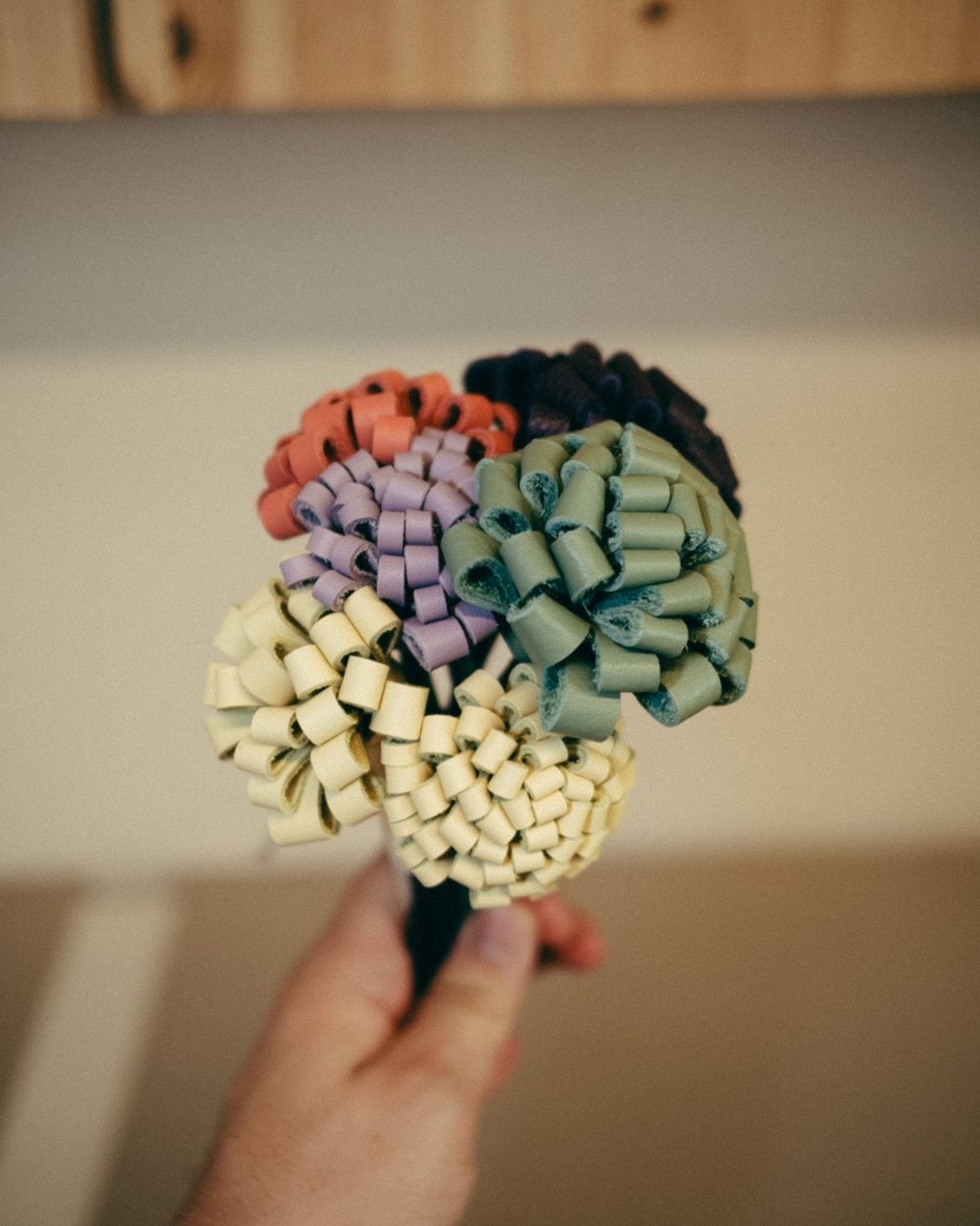 RAMO POMPONES