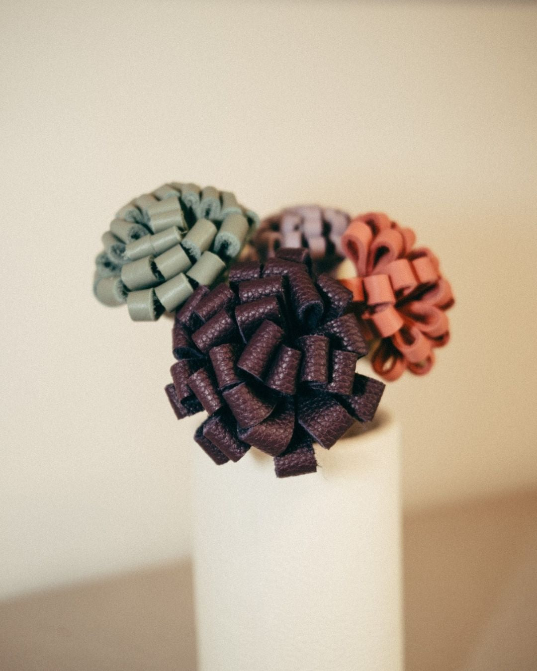 RAMO POMPONES
