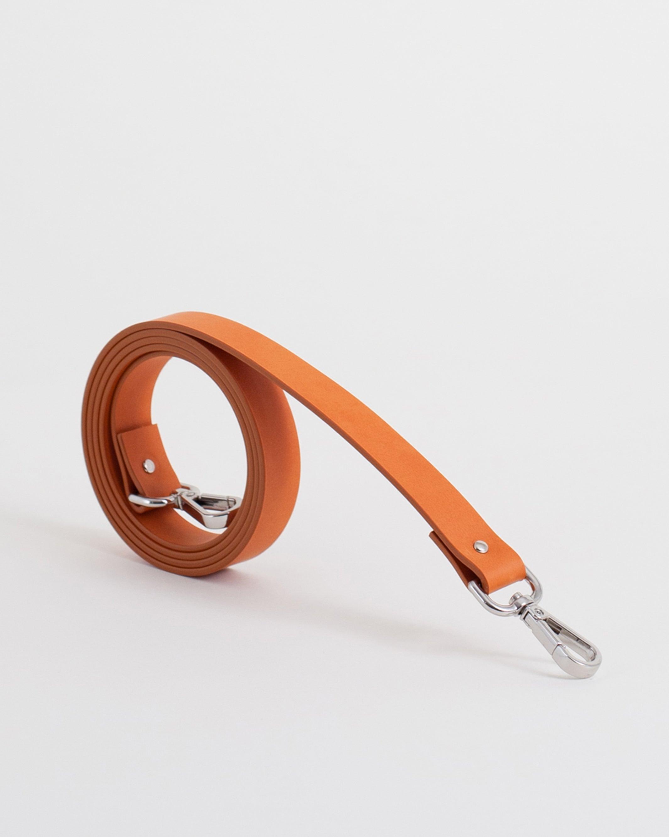 Correa Mosquetón - Labienhecha