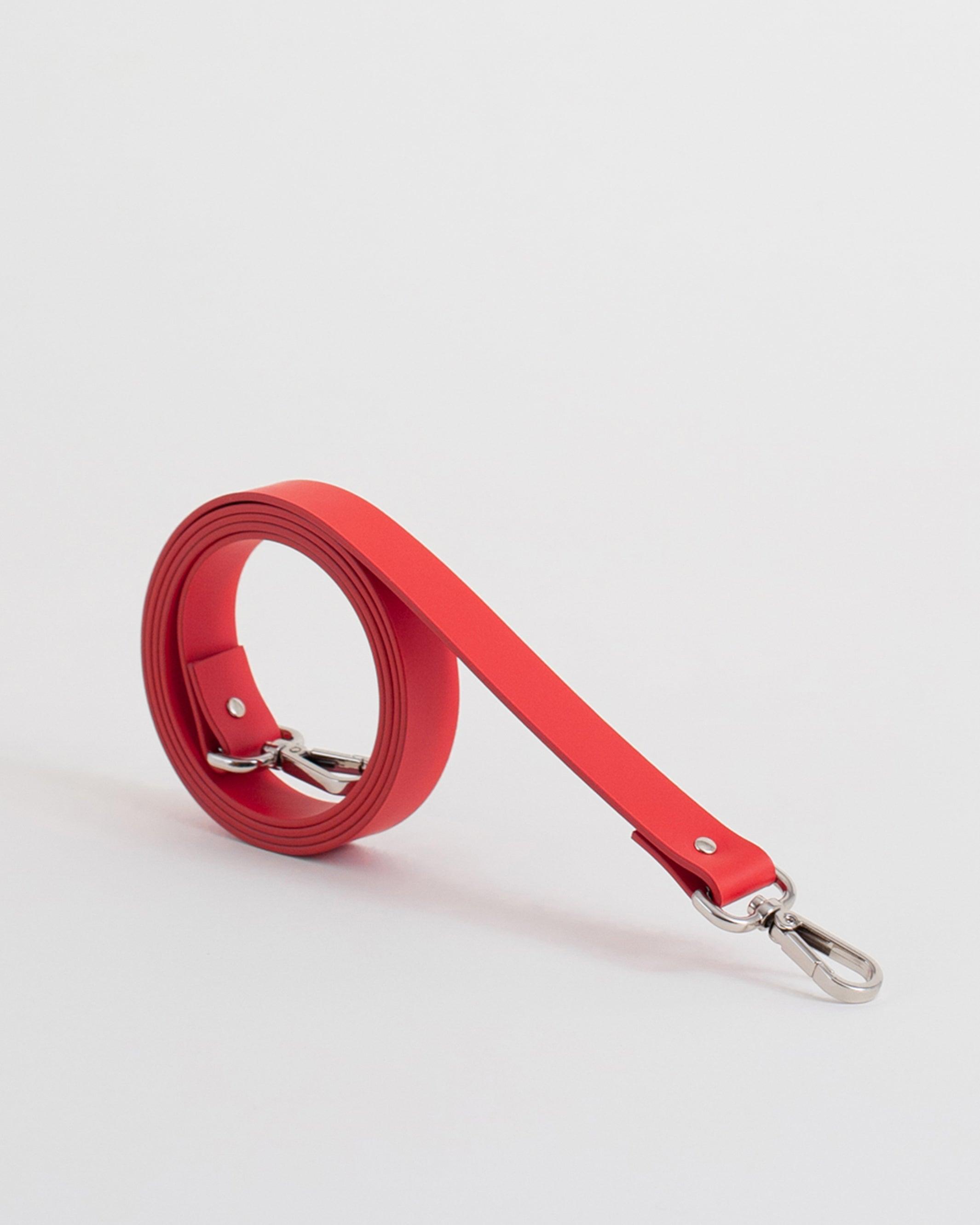 Correa Mosquetón - Labienhecha