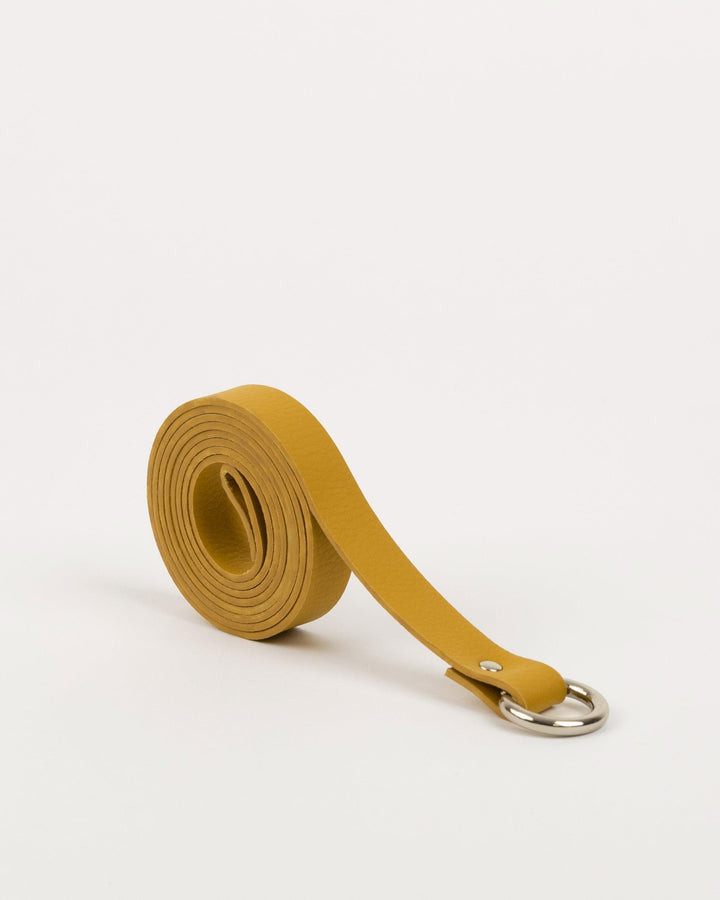 Correa Ángelas - Labienhecha